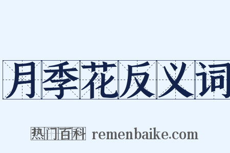 月季花反义词是什么意思的图片